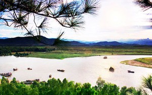 Chữ và nghĩa: Củi một cành khô lạc mấy dòng