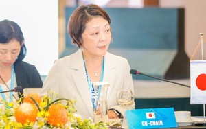 5 trọng tâm trong chiến lược hợp tác ASEAN - Nhật Bản giai đoạn 2025-2030