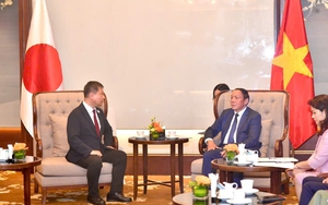 Thúc đẩy phát triển hợp tác thể thao Việt Nam - Nhật Bản 