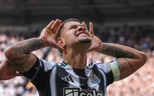 Nhận định, soi tỷ lệ Brighton vs Newcastle 21h hôm nay ngày 18/10, Ngoại hạng Anh vòng 8