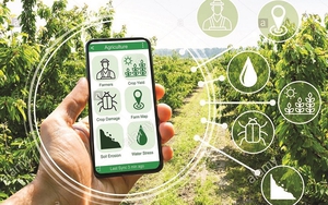 Ngày vì người nghèo Việt Nam: Khơi dậy ý chí phát huy nội lực vươn lên thoát nghèo