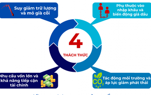 Petrovietnam và 7 đơn vị thành viên trong Top 10 Doanh nghiệp tạo giá trị hàng đầu Việt Nam 2025 – Ngành Năng lượng – Dầu khí