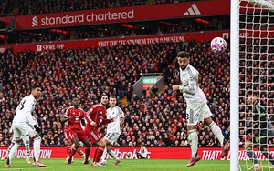 Đen đủi như Gakpo: 3 lần bị khung gỗ MU từ chối bàn thắng 