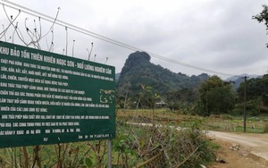 Không có chuyện hổ xuất hiện tại xã Ngọc Sơn, Phú Thọ