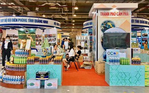 Hội chợ OCOP Quảng Ninh – Thu Đông 2025: Thúc đẩy tiêu thụ đặc sản địa phương