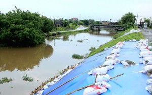 5 tỉnh, thành phố Trung Bộ và Tây Nguyên đảm bảo an toàn đê điều, ứng phó bão, mưa lũ