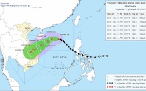 Tiến sĩ Hoàng Phúc Lâm: Bão số 12 đổ bộ từ Đà Nẵng đến Quảng Ngãi, hoàn lưu bão gây mưa lũ lớn diện rộng


