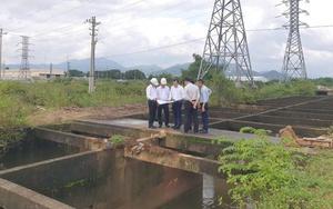 Bộ Xây dựng kích hoạt phương án phòng chống khẩn cấp bão số 12