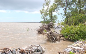 Các địa phương khẩn trương ứng phó bão số 12