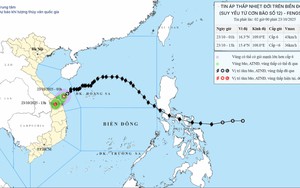 Bão số 12 suy yếu thành áp thấp nhiệt đới