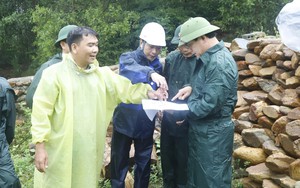 Bão số 12: Đà Nẵng lập 3 Ban chỉ huy tiền phương khu vực