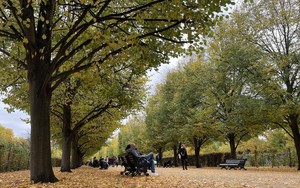 Quyến rũ sắc Thu London