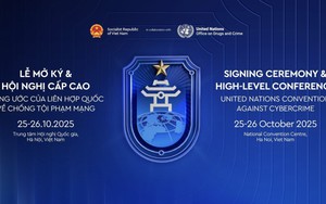 Tài liệu cơ bản về Công ước của Liên hợp quốc về chống tội phạm mạng