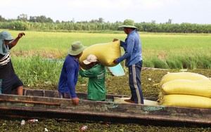 Hội nghị Cấp cao ASEAN 47: Việt Nam góp phần thúc đẩy kinh tế số và an ninh lương thực ASEAN
