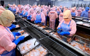 Góp ý dự thảo văn kiện Đại hội XIV của Đảng: “Đồng thuận” giữa GDP và HDI