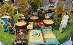 Thông qua nội dung Bản ghi nhớ hợp tác thương mại gạo Việt Nam - Singapore