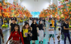 Hội chợ Mùa Thu 2025 dự kiến đón khoảng nửa triệu lượt khách mỗi ngày