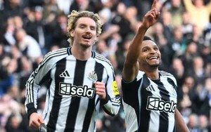 Nhận định, soi tỷ lệ Newcastle vs Tottenham 03h00 ngày 30/10, Cúp Liên đoàn Anh