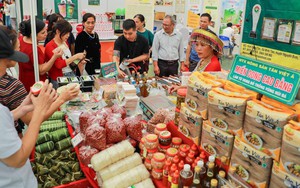 Hội chợ mùa Thu 2025: Phân khu "Thu gia đình" - nơi người dân mua sắm nhiều nhất