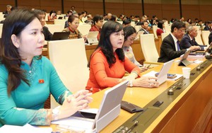 Kỳ họp thứ 10, Quốc hội khóa XV: Giám sát việc thực hiện pháp luật về bảo vệ môi trường