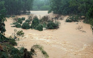 Mưa lũ gây ra nhiều thiệt hại nghiêm trọng tại khu vực miền Trung