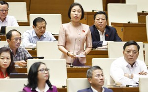 Kỳ họp thứ 10, Quốc hội khóa XV: Làm lành mạnh môi trường kinh doanh thương mại điện tử