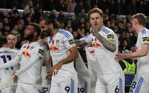 Nhận định, soi tỷ lệ Brighton vs Leeds 22h hôm nay ngày 1/11, Ngoại hạng Anh vòng 10