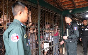 Điều tra, xác minh tổ chức tội phạm lừa đảo tại tỉnh Kampot, Vương quốc Campuchia