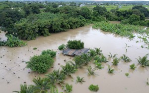Mưa lũ tại miền Trung: Hơn 4.870 ha lúa, hoa màu bị thiệt hại
