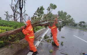 Trung Quốc ban bố cảnh báo Cam về bão Matmo