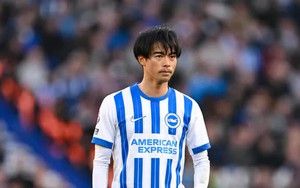 Nhận định, soi tỷ lệ Wolves vs Brighton 20h hôm nay ngày 5/10, Ngoại hạng Anh