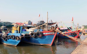 Hải Phòng cấm nhiều hoạt động ở cửa sông, ven biển, ngoài khơi