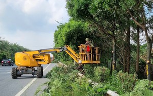 Hà Nội khẩn trương thực hiện các phương án phòng chống bão số 11