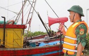 Quảng Ninh, Phú Thọ, Ninh Bình gấp rút thực hiện biện pháp ứng phó bão số 11