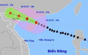 Ứng phó bão số 11: Lai Châu lên phương án ứng phó với mưa lớn, sạt lở đất, lũ ống, lũ quét