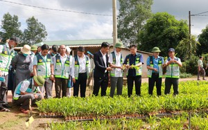 Tinh gọn bộ máy: Giải quyết tình trạng nơi thừa, nơi thiếu nhân lực