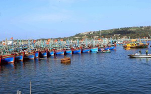 Hải Phòng kích hoạt phương án ứng phó mưa lũ, sạt lở do bão