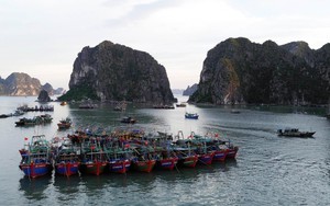 Bão số 11 không gây thiệt hại đến khu vực Móng Cái