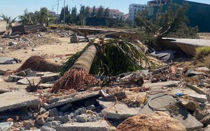 Chuyên gia lý giải về mùa bão bất thường