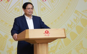 Thủ tướng chủ trì Phiên họp Ban Chỉ đạo Quốc gia về chống khai thác hải sản bất hợp pháp