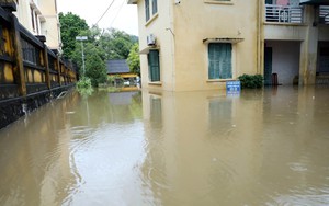 Mưa lớn gây ngập úng nhiều nơi ở Tuyên Quang