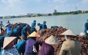  Giữ vững đê điều trong "thiên tai kép"