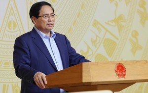 Thủ tướng chủ trì Hội nghị Chương trình mục tiêu quốc gia phòng, chống ma túy