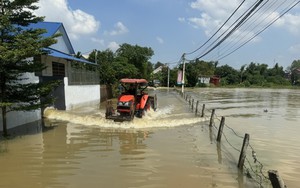 Ứng cứu hơn 2.400 hộ dân ở xã Trung Giã, Hà Nội bị cô lập