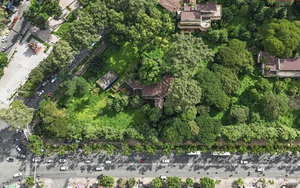 TP.HCM mời nhân dân góp ý công trình Biểu tượng tưởng niệm nạn nhân COVID-19