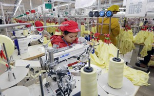 Việt Nam - điểm sáng trong làn sóng tăng trưởng mới của phương Nam