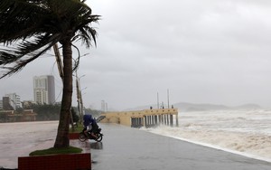 Bão số 14 giữ nguyên hướng và cường độ, Bắc Biển Đông động dữ dội