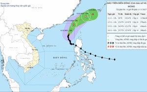 Bão số 14 vẫn giữ nguyên cường độ, hướng di chuyển và suy yếu dần