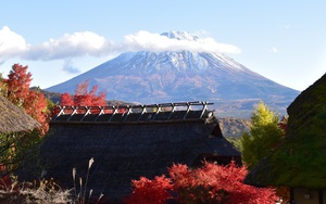 Hành trình mùa Thu Phú Sĩ: Bản giao hưởng sắc màu từ Kawaguchi đến Motosu 