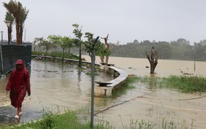 Bão số 14 khả năng suy yếu dần thành áp thấp nhiệt đới